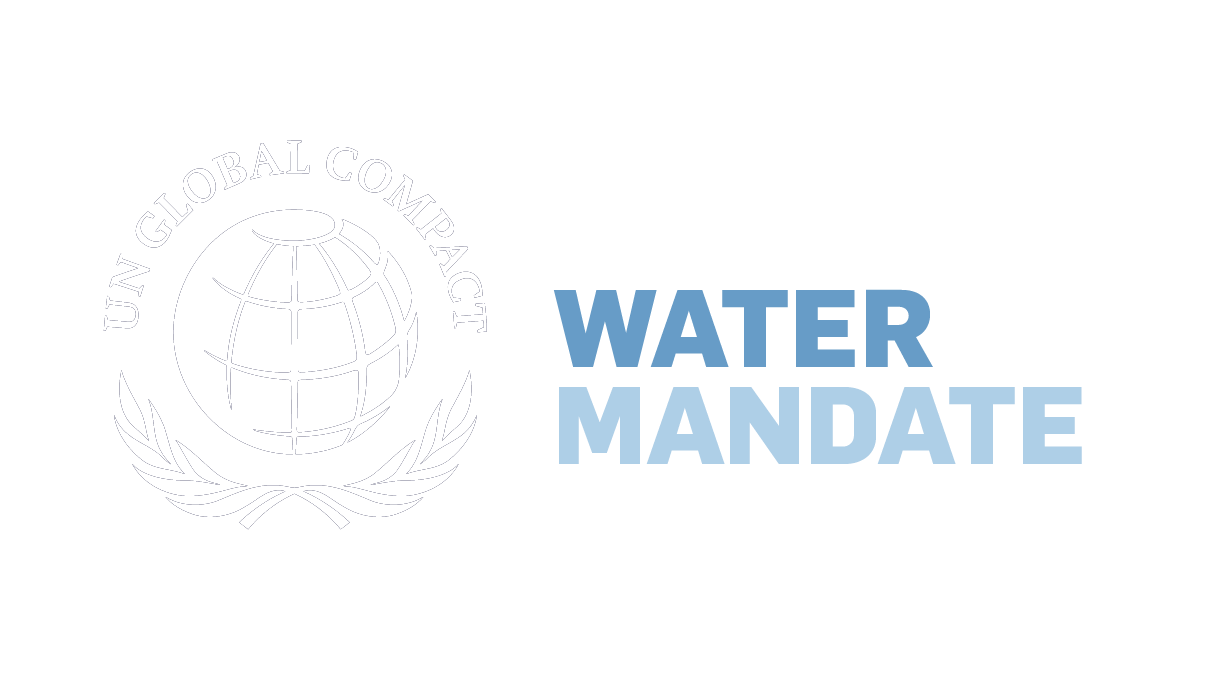 Corporate Water Resilience in an Uncertain Future (2020)