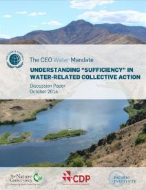 Understanding “Sufficiency” in Water-Related Collective Action