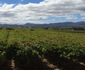 a farm in the Breede Catchment in South Africa