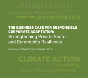 Business Case for Responsible Corporate Adaptation
