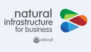 Natural Infrastructure for Business logo