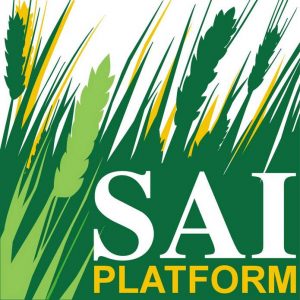 SAI platform logo