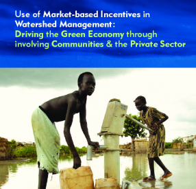 UNEP market based incentives