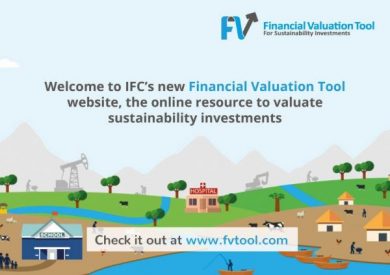 Financial Valuation Tool flyer - www.fvtool.com