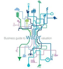 business guide to water valuation wbcsd