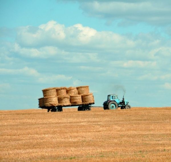 tractor pulling hay bails in open field