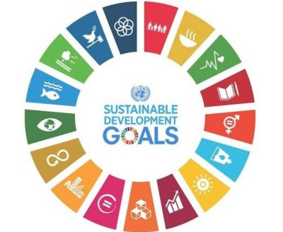 Business Reporting on the SDGs: An Analysis of the Goals and Targets