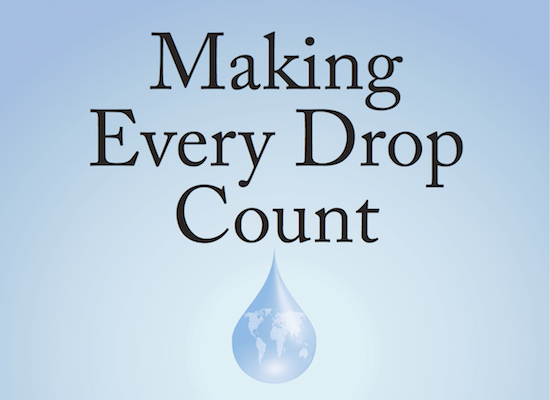 text: Making Every Drop Count: An Agenda for Water Action