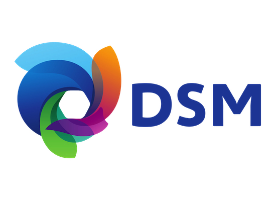 royal dsm logo