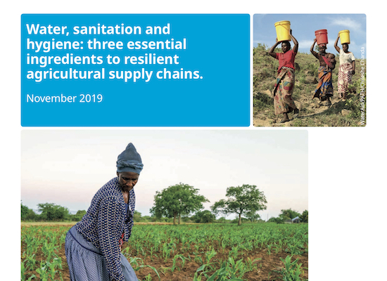 Water, Sanitation and Hygiene: Three Essential Ingredients to Resilient ...