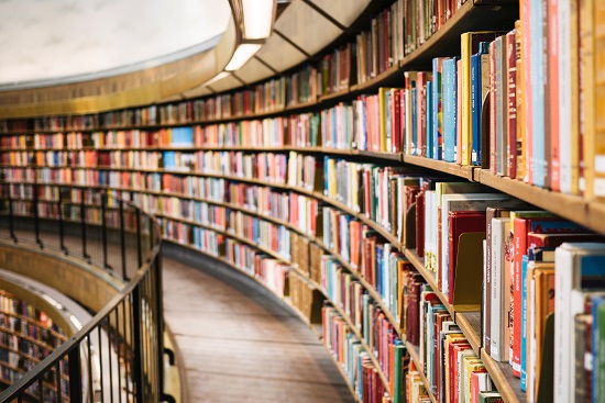 Books on Shelves in Library