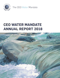 CWM Annual Report 2018 Cover
