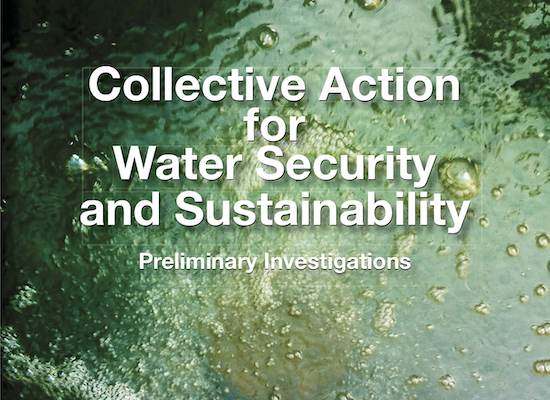 Collective Action for Water Security and Sustainability: Preliminary ...