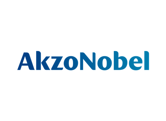akzo nobel communication on progress