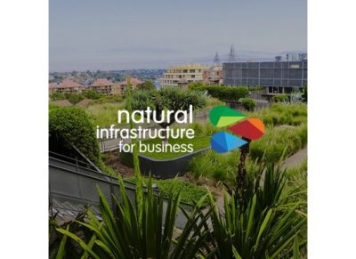 Natural Infrastructure for Business