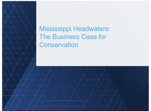 Mississippi Headwaters: The Business Case for Conservation