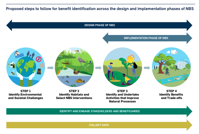 Quantifying co-benefits and disbenefits of Nature-based Solutions