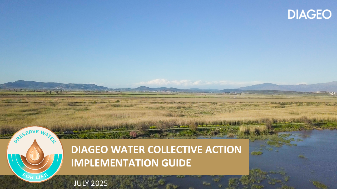 Diageo Collective Action – Guide Cover