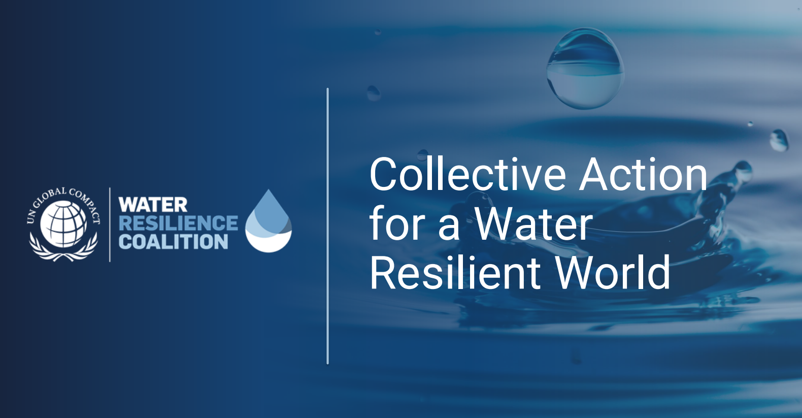 WRC Deck Cover Photo